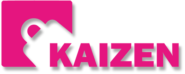 Kaizen Store